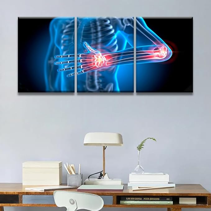 Anatomy-24