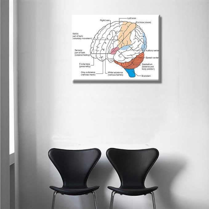 Anatomy-1
