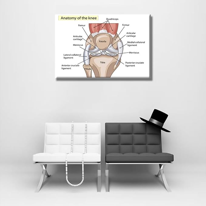 Anatomy-2