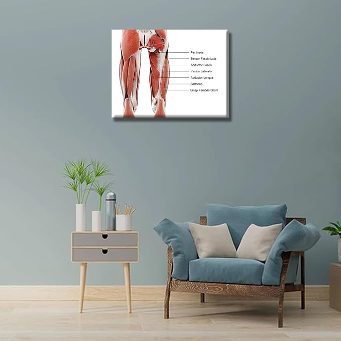 Anatomy-12