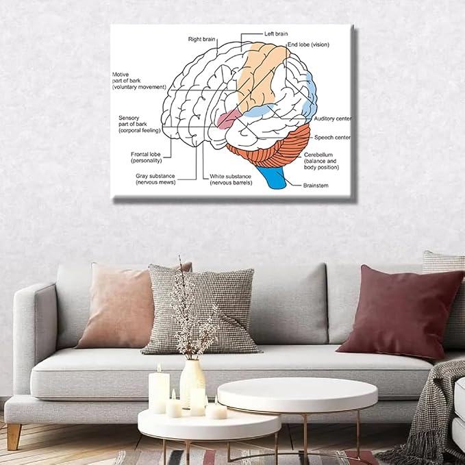 Anatomy-1