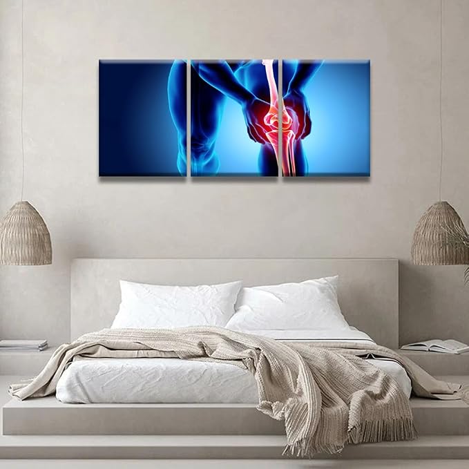 Anatomy-19