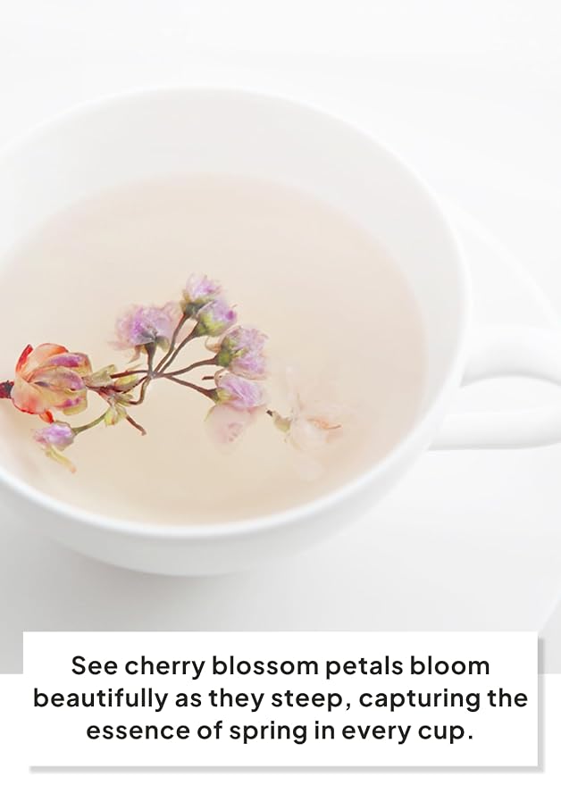Cherry Blossom