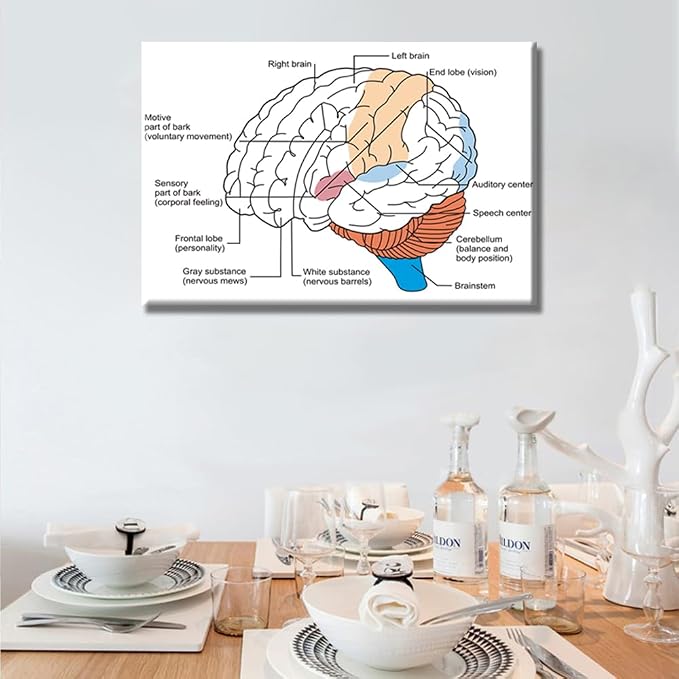 Anatomy-1