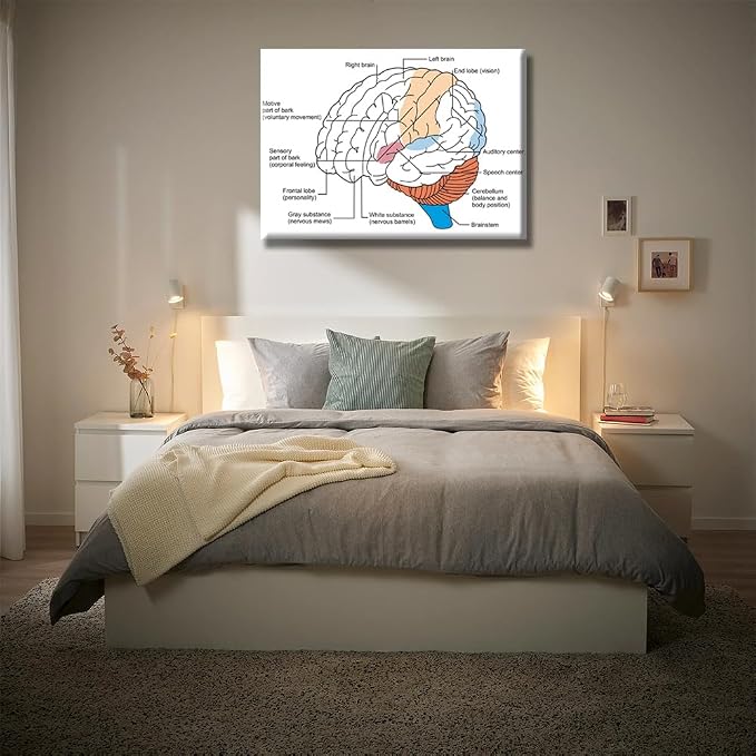 Anatomy-1