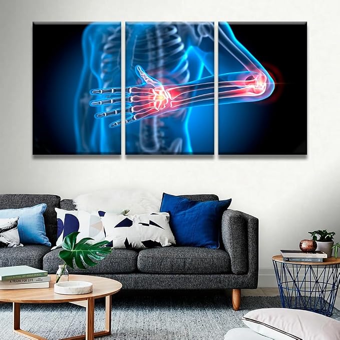 Anatomy-24
