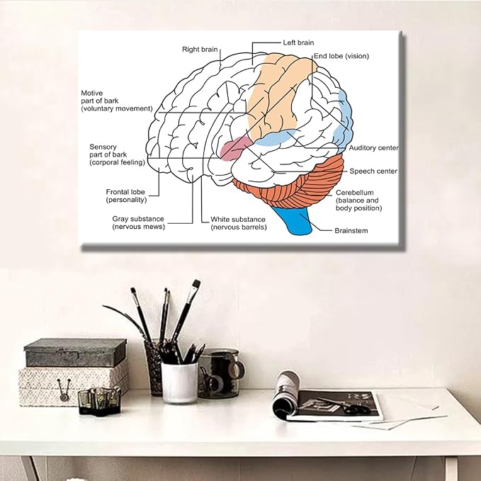 Anatomy-1