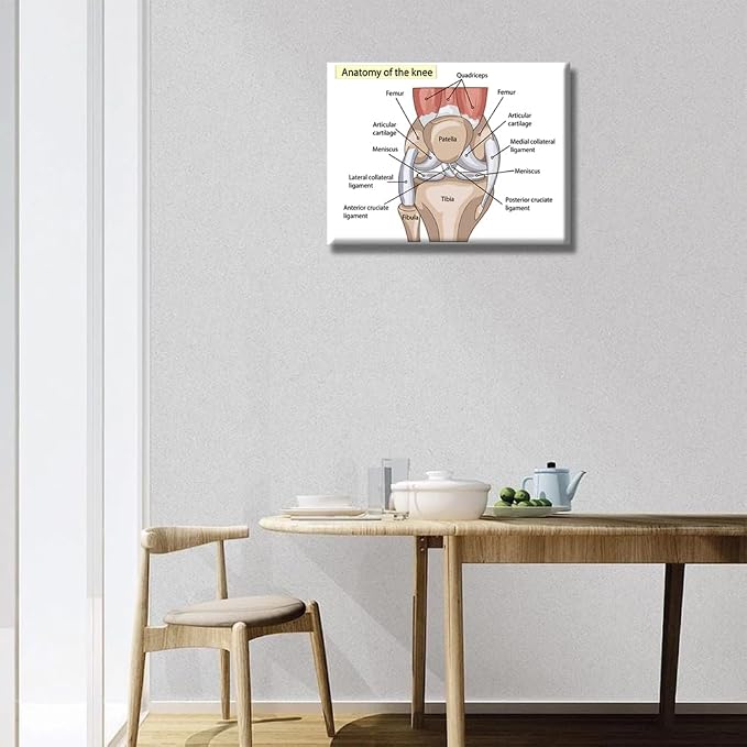 Anatomy-2