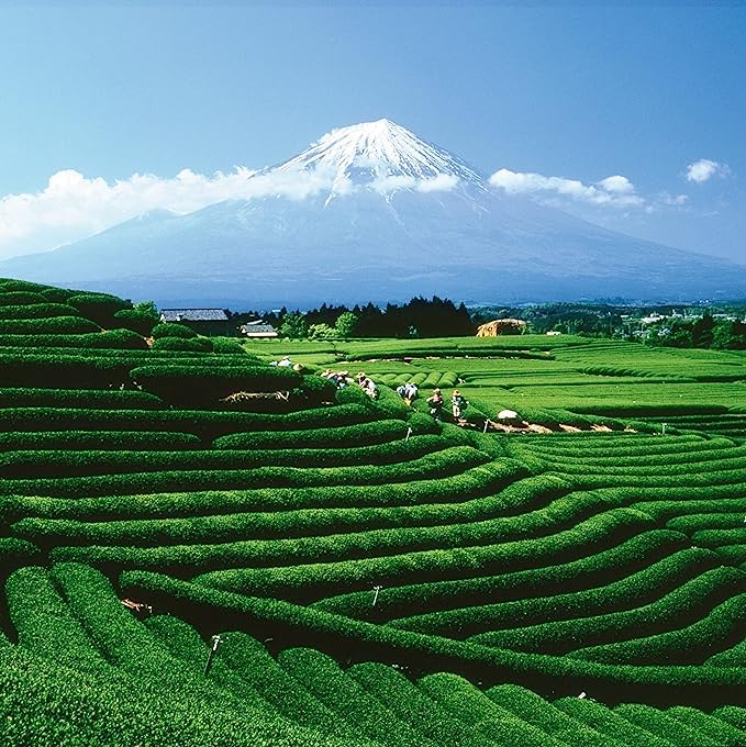 __DEFAULT__