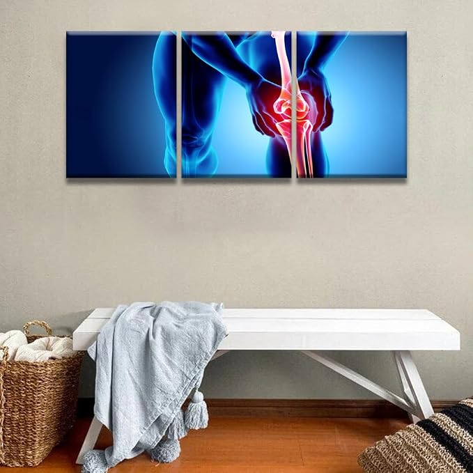 Anatomy-19