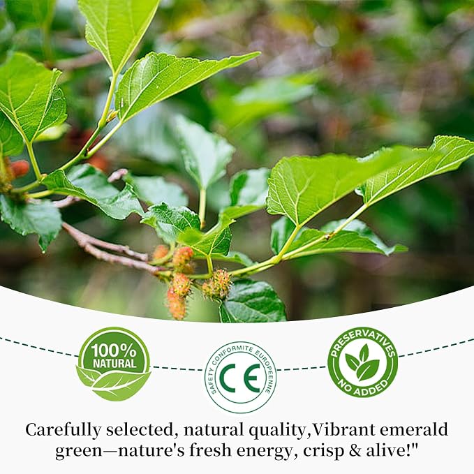 Mulberry Leaf