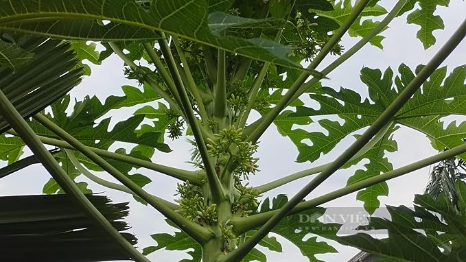 __DEFAULT__