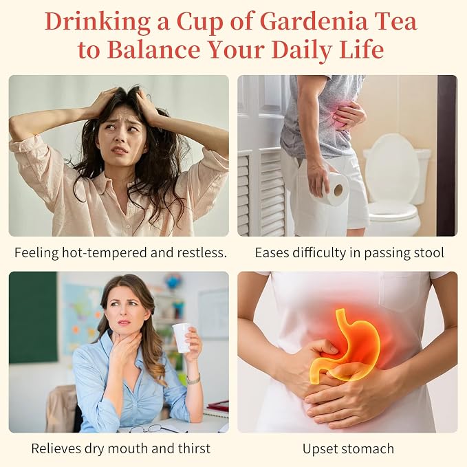 Gardenia Fruit