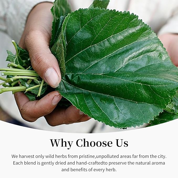 Mulberry Leaf
