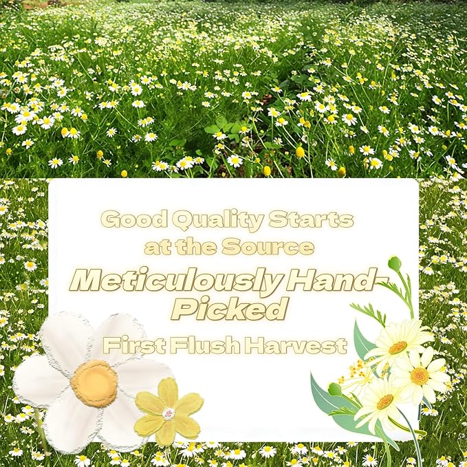 100g/3.52oz Chamomile
