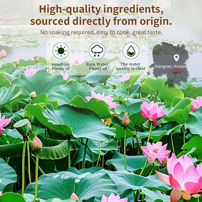 Lotus Seeds