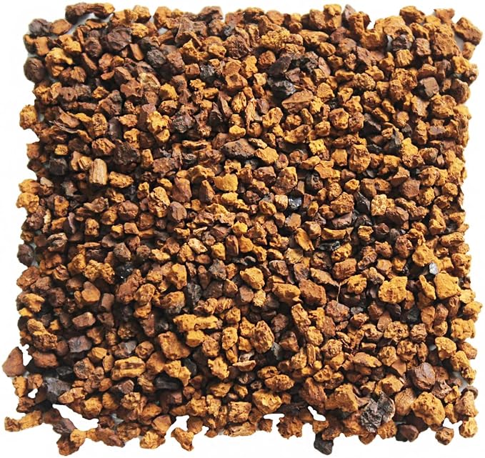 Chaga